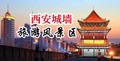 欧美女被鸡操逼中国陕西-西安城墙旅游风景区